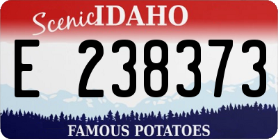 ID license plate E238373