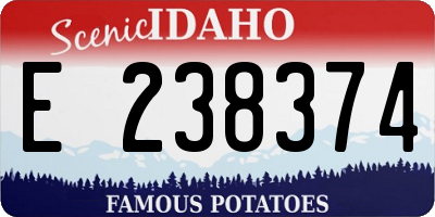 ID license plate E238374