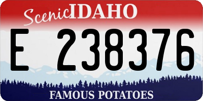 ID license plate E238376