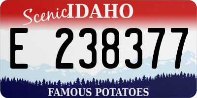 ID license plate E238377