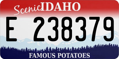 ID license plate E238379