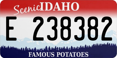 ID license plate E238382