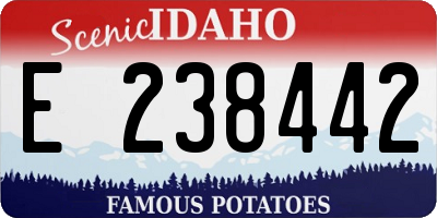 ID license plate E238442