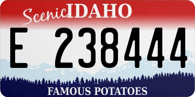 ID license plate E238444