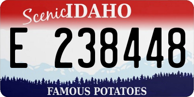 ID license plate E238448