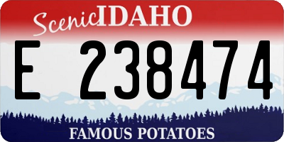 ID license plate E238474