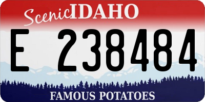 ID license plate E238484