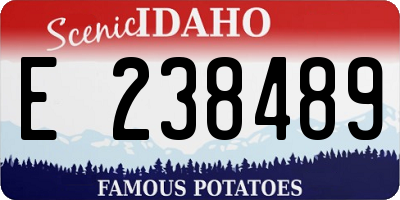 ID license plate E238489