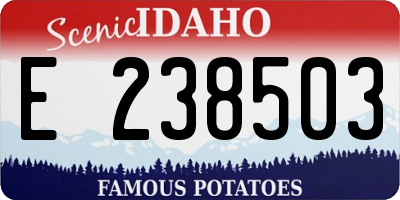 ID license plate E238503