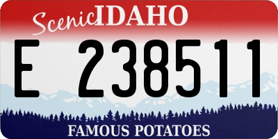 ID license plate E238511