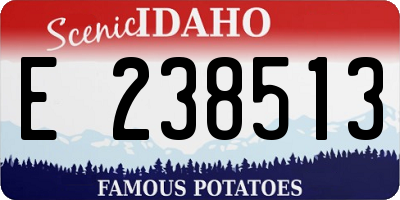 ID license plate E238513