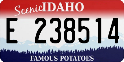 ID license plate E238514