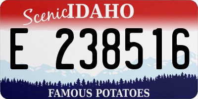 ID license plate E238516