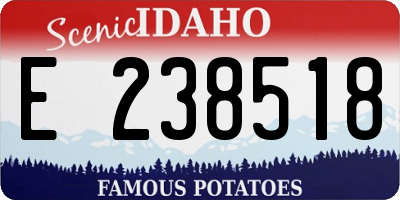 ID license plate E238518