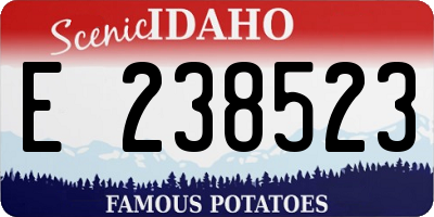 ID license plate E238523