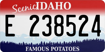 ID license plate E238524