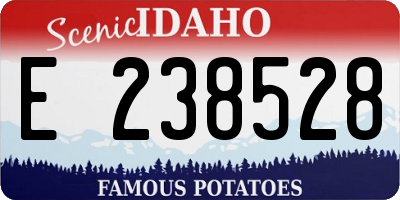 ID license plate E238528