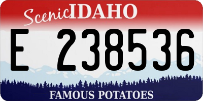 ID license plate E238536