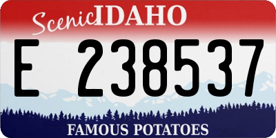 ID license plate E238537