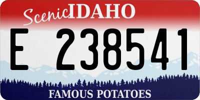 ID license plate E238541
