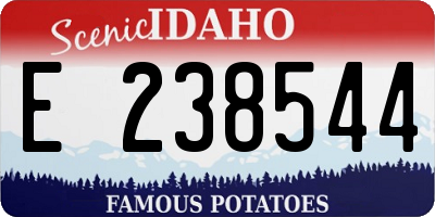 ID license plate E238544