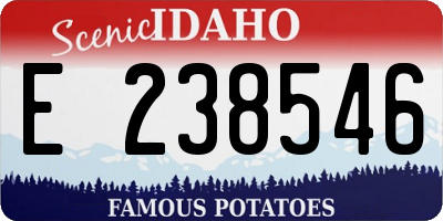 ID license plate E238546