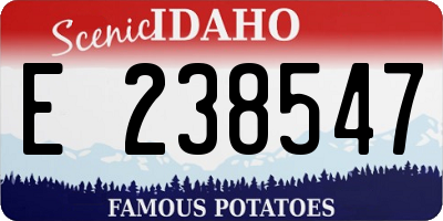 ID license plate E238547