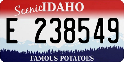 ID license plate E238549