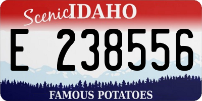 ID license plate E238556