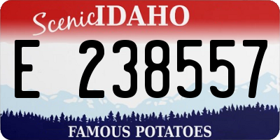 ID license plate E238557