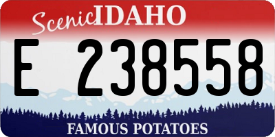 ID license plate E238558