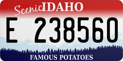 ID license plate E238560
