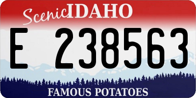 ID license plate E238563