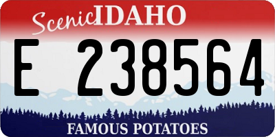 ID license plate E238564