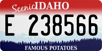 ID license plate E238566