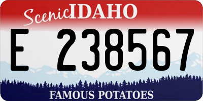 ID license plate E238567