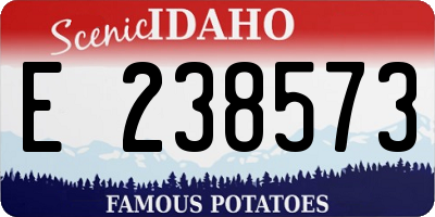 ID license plate E238573