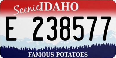 ID license plate E238577