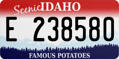 ID license plate E238580