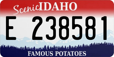 ID license plate E238581