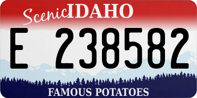 ID license plate E238582