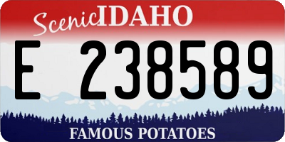 ID license plate E238589