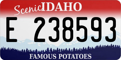 ID license plate E238593