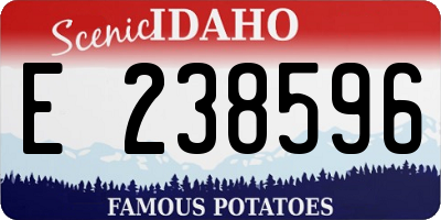 ID license plate E238596