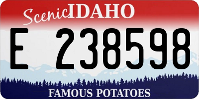 ID license plate E238598