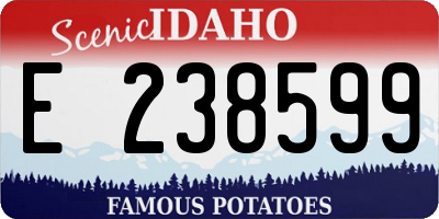 ID license plate E238599
