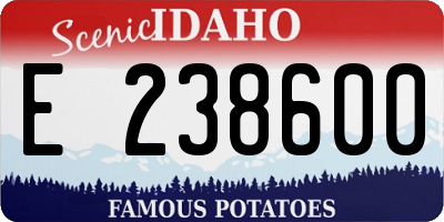 ID license plate E238600