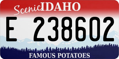 ID license plate E238602