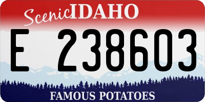 ID license plate E238603