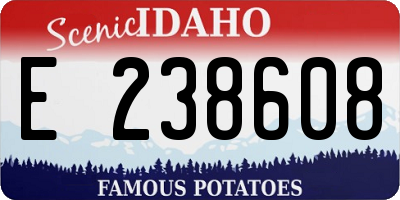 ID license plate E238608